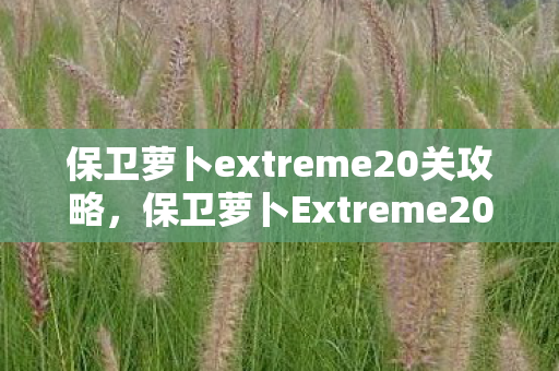 保卫萝卜extreme20关攻略，保卫萝卜Extreme20，挑战与乐趣并存的塔防新篇章