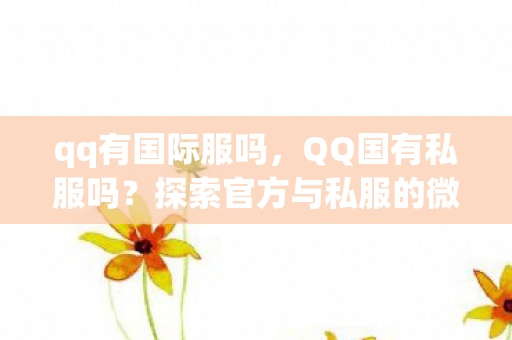 qq有国际服吗，QQ国有私服吗？探索官方与私服的微妙界限