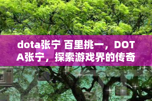 dota张宁 百里挑一，DOTA张宁，探索游戏界的传奇之路