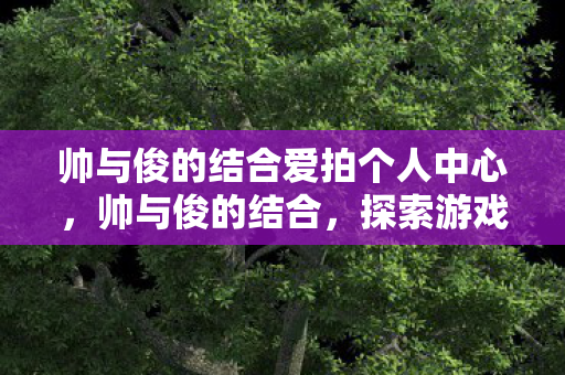 帅与俊的结合爱拍个人中心，帅与俊的结合，探索游戏世界的双重魅力