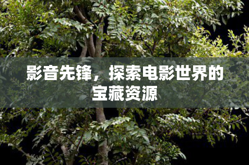 影音先锋，探索电影世界的宝藏资源