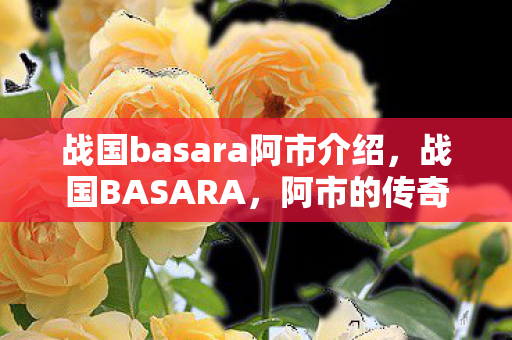 战国basara阿市介绍，战国BASARA，阿市的传奇与风采