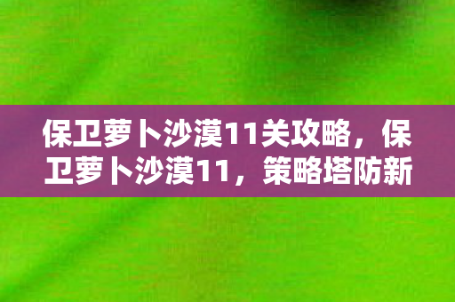 保卫萝卜沙漠11关攻略，保卫萝卜沙漠11，策略塔防新挑战