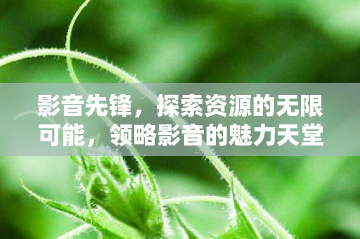 影音先锋，探索资源的无限可能，领略影音的魅力天堂