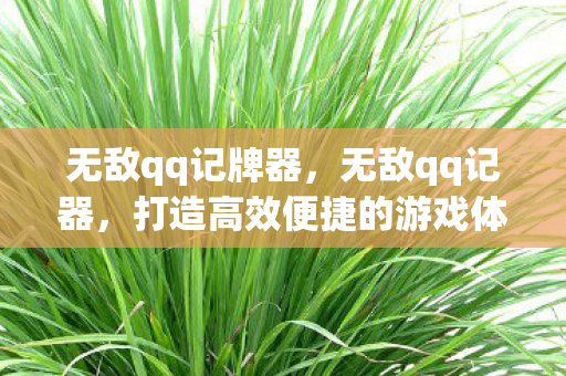 无敌qq记牌器，无敌qq记器，打造高效便捷的游戏体验