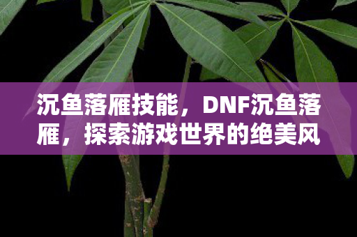 沉鱼落雁技能，DNF沉鱼落雁，探索游戏世界的绝美风景