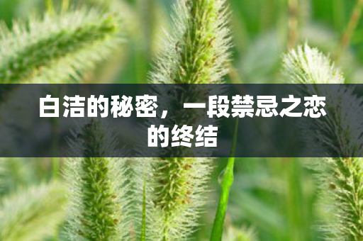 白洁的秘密，一段禁忌之恋的终结