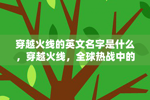 穿越火线的英文名字是什么，穿越火线，全球热战中的战术与激情