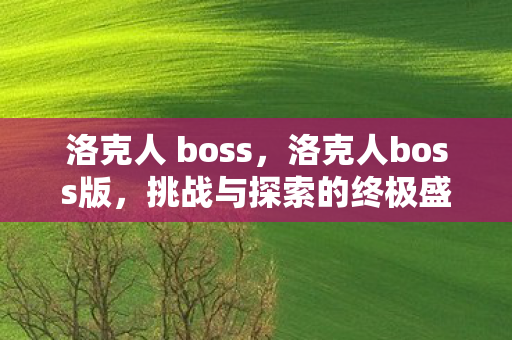 洛克人 boss，洛克人boss版，挑战与探索的终极盛宴