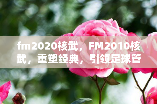 fm2020核武，FM2010核武，重塑经典，引领足球管理新潮流