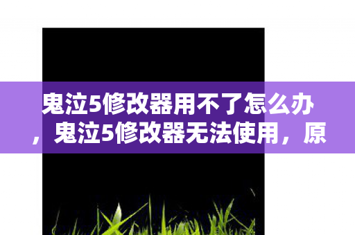 鬼泣5修改器用不了怎么办，鬼泣5修改器无法使用，原因解析与解决方案