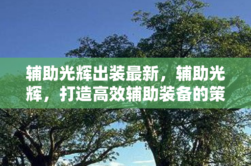 辅助光辉出装最新，辅助光辉，打造高效辅助装备的策略指南