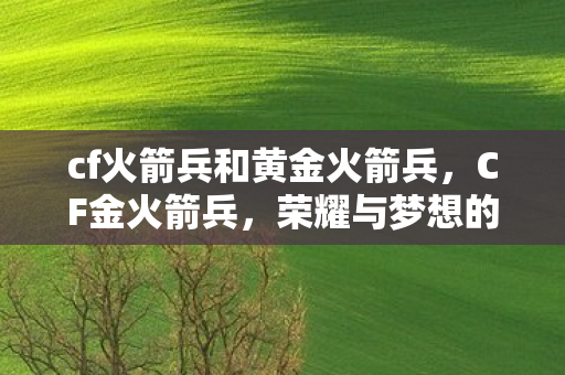cf火箭兵和黄金火箭兵，CF金火箭兵，荣耀与梦想的象征