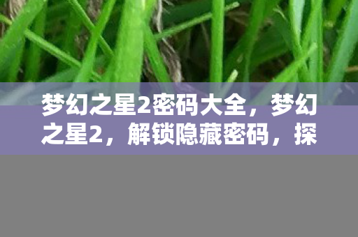 梦幻之星2密码大全，梦幻之星2，解锁隐藏密码，探索未知宇宙