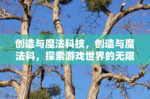 创造与魔法科技，创造与魔法科，探索游戏世界的无限可能