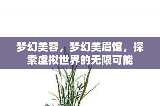 梦幻美容，梦幻美眉馆，探索虚拟世界的无限可能