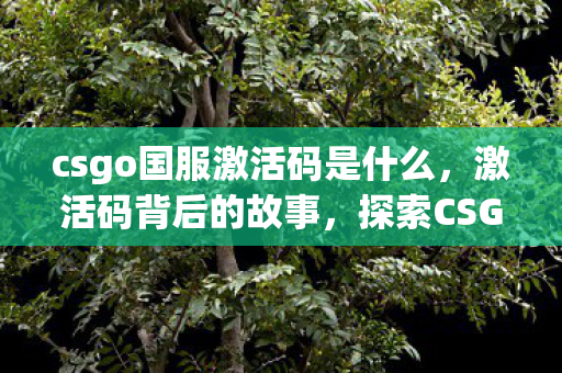 csgo国服激活码是什么，激活码背后的故事，探索CSGO国服之路