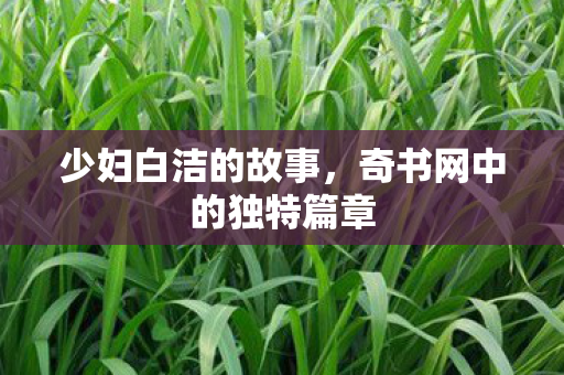 少妇白洁的故事，奇书网中的独特篇章