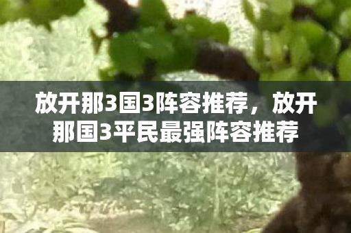 放开那3国3阵容推荐，放开那国3平民最强阵容推荐