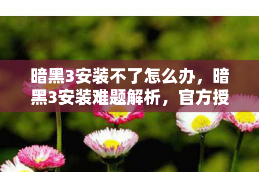 暗黑3安装不了怎么办，暗黑3安装难题解析，官方授权与安装步骤详解