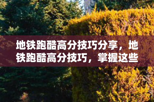 地铁跑酷高分技巧分享，地铁跑酷高分技巧，掌握这些技巧，轻松突破高分瓶颈