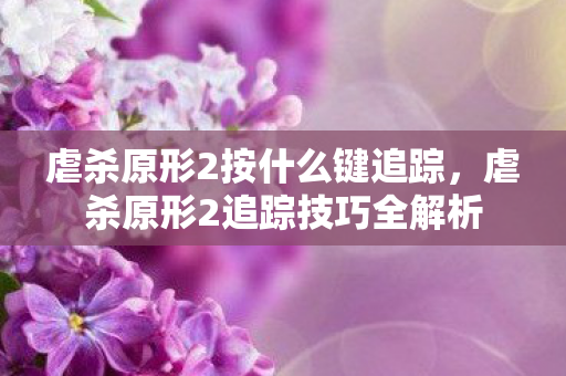 虐杀原形2按什么键追踪，虐杀原形2追踪技巧全解析