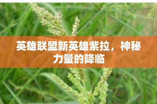 英雄联盟新英雄紫拉，神秘力量的降临