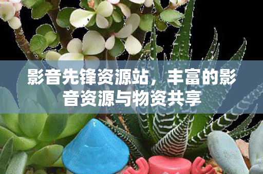 影音先锋资源站，丰富的影音资源与物资共享