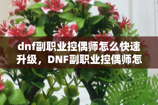 dnf副职业控偶师怎么快速升级，DNF副职业控偶师怎么升，全面攻略