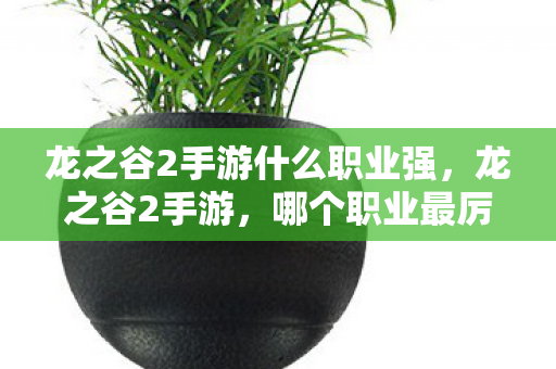 龙之谷2手游什么职业强，龙之谷2手游，哪个职业最厉害？