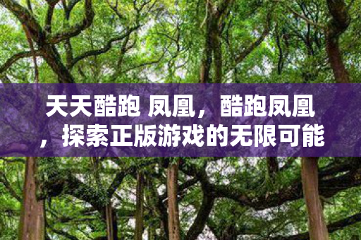 天天酷跑 凤凰，酷跑凤凰，探索正版游戏的无限可能