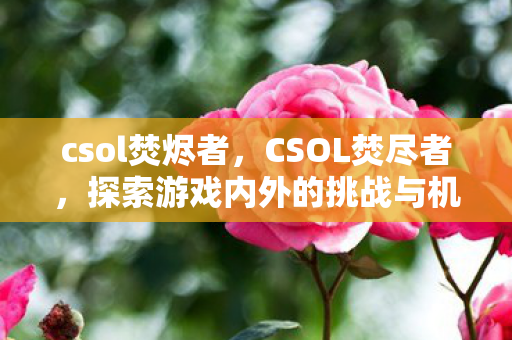 csol焚烬者，CSOL焚尽者，探索游戏内外的挑战与机遇