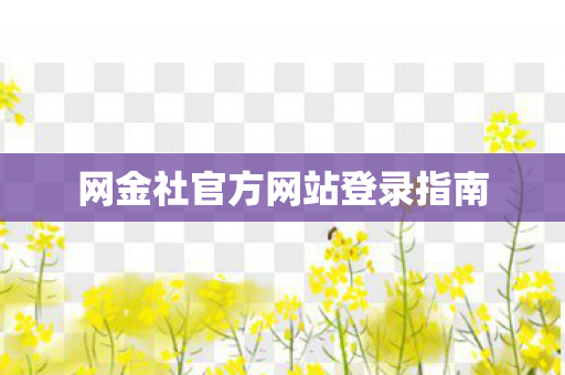 网金社官方网站登录指南