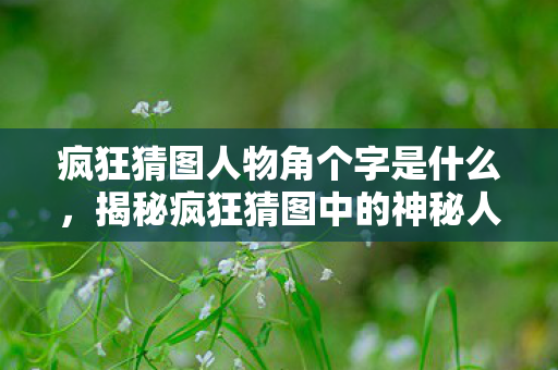 疯狂猜图人物角个字是什么，揭秘疯狂猜图中的神秘人物角，跨越时空的解谜之旅