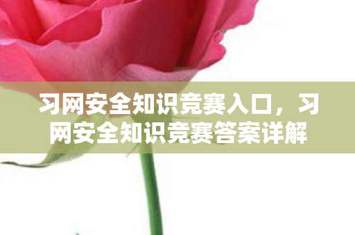 习网安全知识竞赛入口，习网安全知识竞赛答案详解