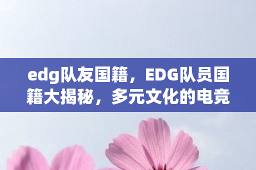 edg队友国籍，EDG队员国籍大揭秘，多元文化的电竞力量