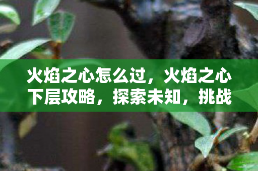 火焰之心怎么过，火焰之心下层攻略，探索未知，挑战极限