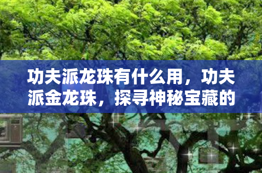 功夫派龙珠有什么用，功夫派金龙珠，探寻神秘宝藏的奇幻之旅