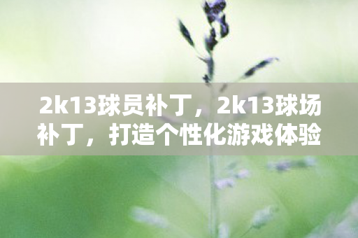 2k13球员补丁，2k13球场补丁，打造个性化游戏体验