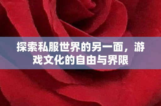 探索私服世界的另一面，游戏文化的自由与界限