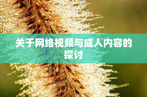 关于网络视频与成人内容的探讨