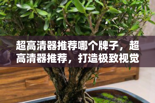 超高清器推荐哪个牌子，超高清器推荐，打造极致视觉盛宴的必备神器