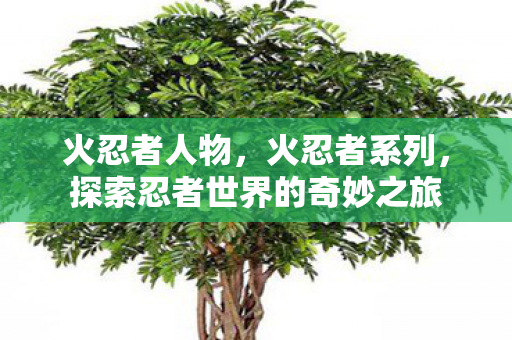 火忍者人物，火忍者系列，探索忍者世界的奇妙之旅