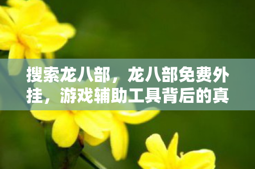 搜索龙八部，龙八部免费外挂，游戏辅助工具背后的真相