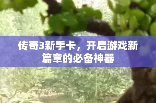 传奇3新手卡，开启游戏新篇章的必备神器