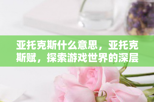 亚托克斯什么意思，亚托克斯赋，探索游戏世界的深层奥秘