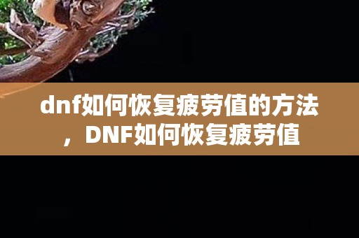 dnf如何恢复疲劳值的方法，DNF如何恢复疲劳值