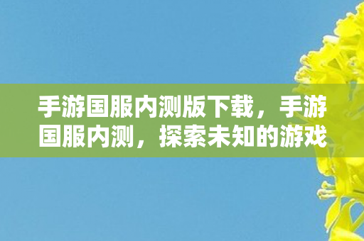 手游国服内测版下载，手游国服内测，探索未知的游戏世界