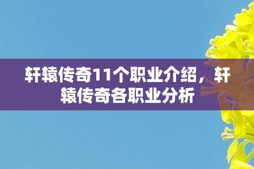 轩辕传奇11个职业介绍，轩辕传奇各职业分析