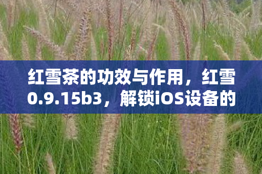 红雪茶的功效与作用，红雪0.9.15b3，解锁iOS设备的全新利器